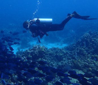 Scuba Diving & Underwater Scooter Adventures | Roatán-Ocean ...